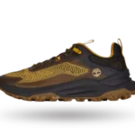 تیمبرلند موشن اکسس