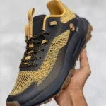 تیمبرلند موشن اکسس