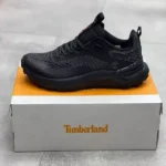 تیمبرلند موشن اکسس